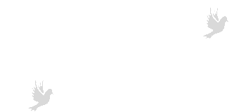 Bestattungen Gebrüder Quante Südkirchen - Logo